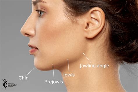 IN PHOTOS: The jaw.